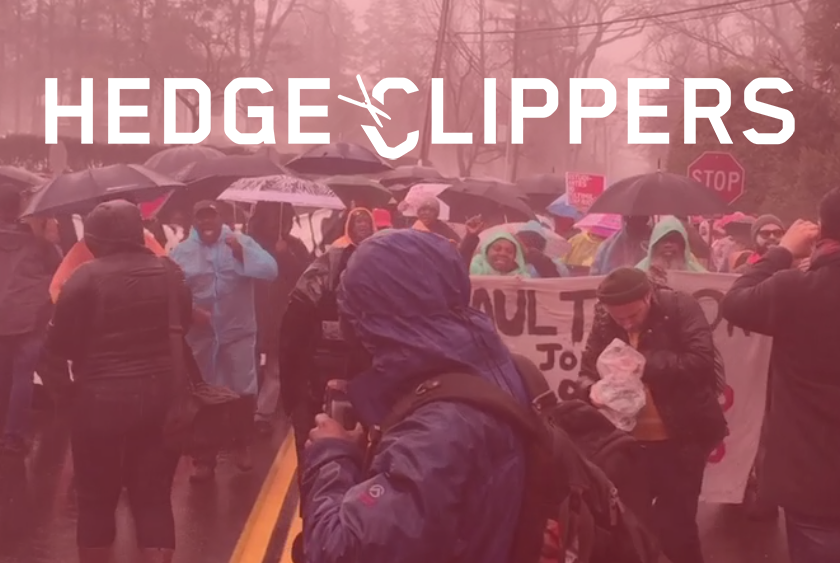 #GoHedgeClippers